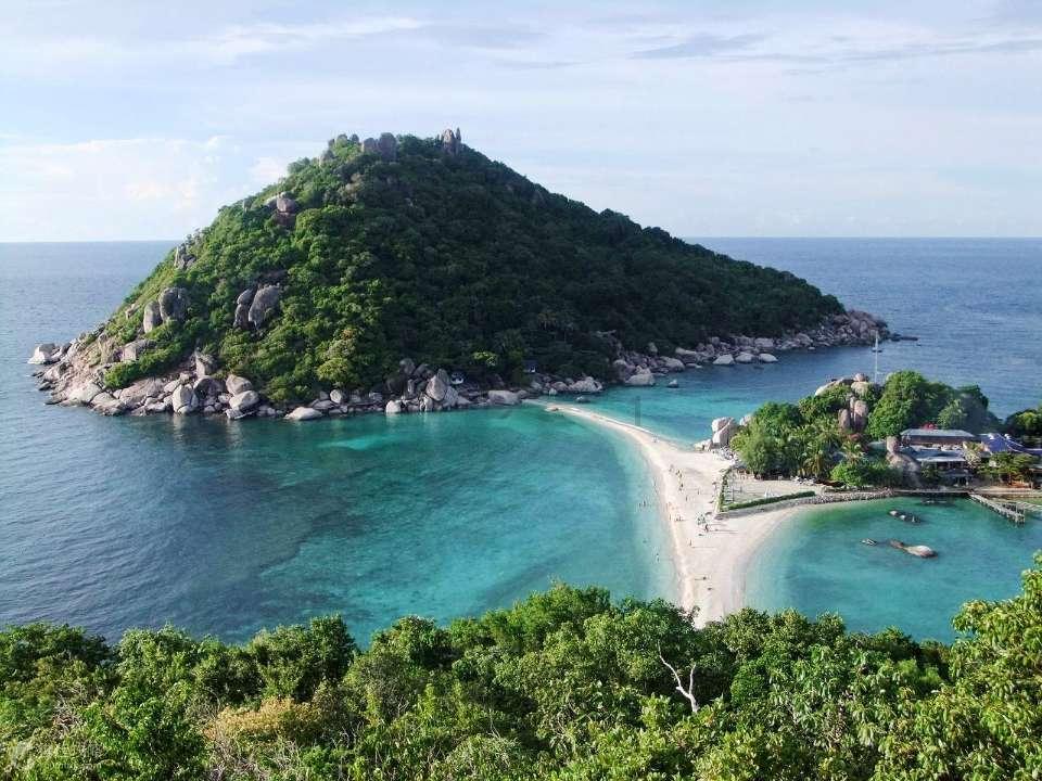 小猫钓鱼游戏龙王版有船