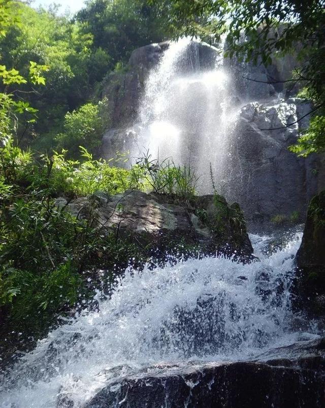虫虫助手下载